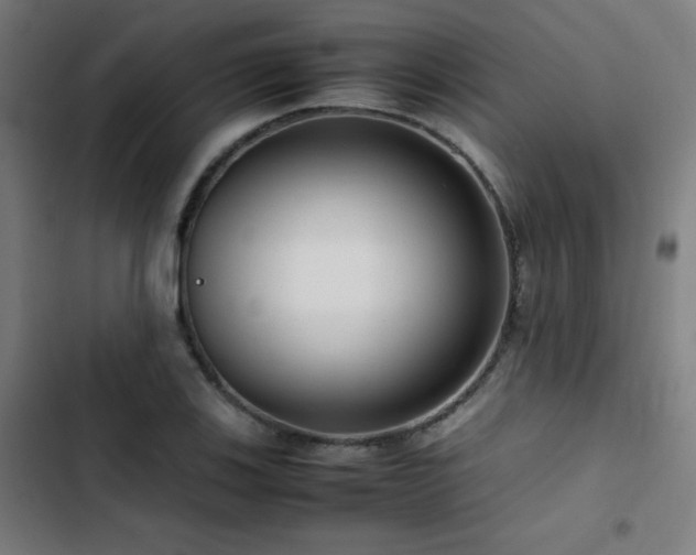 X0000103411123200809121259