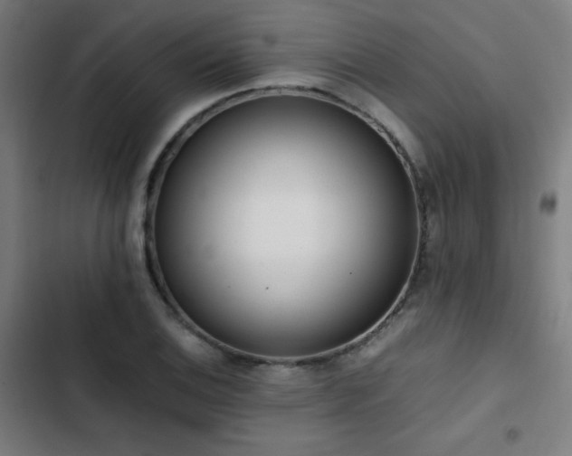 X0000103411124200809121259