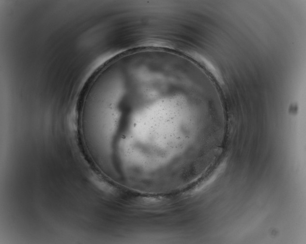X0000103411125200809121259