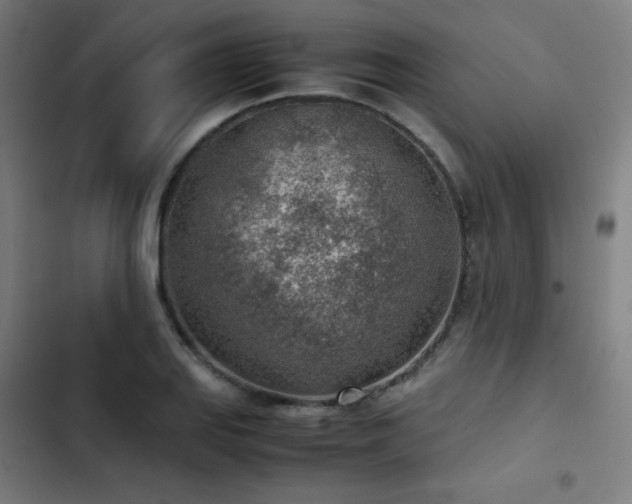 X0000103411127200809121259