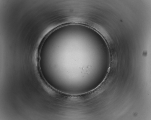 X0000103411128200809121259