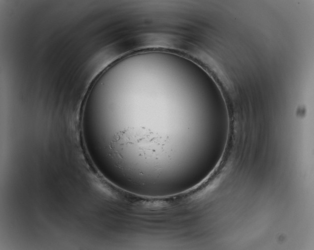 X0000103411129200809121259