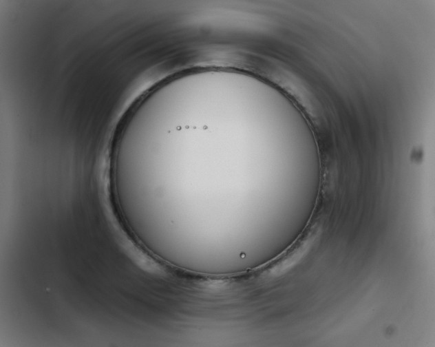 X0000103411130200809121259