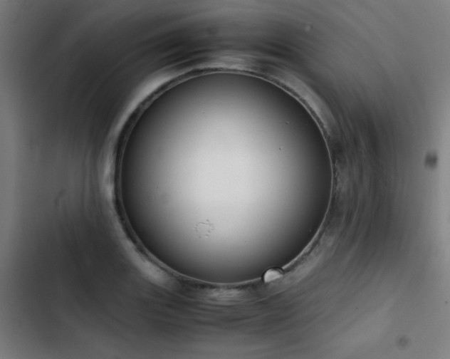 X0000103411131200809121259