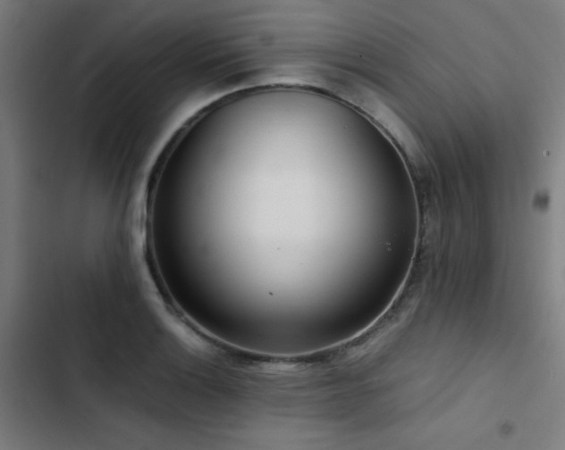 X0000103411132200809121259