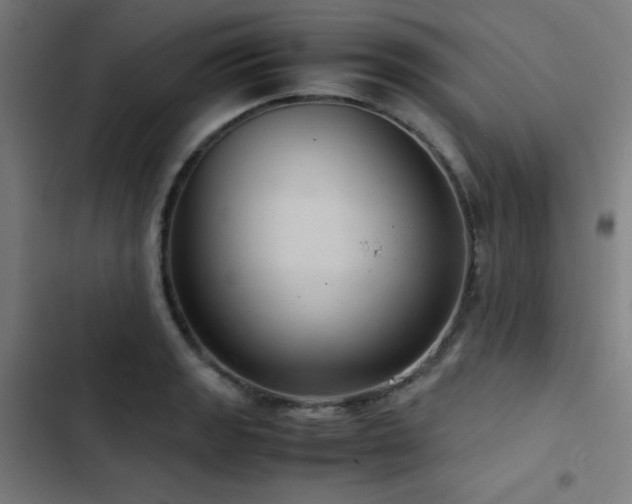 X0000103411133200809121259