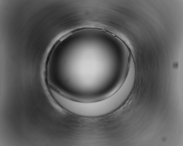 X0000103411136200809121259