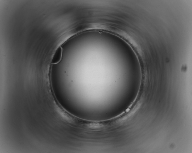 X0000103411137200809121259