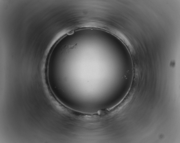 X0000103411138200809121259