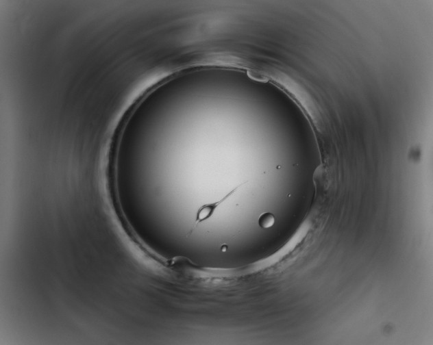 X0000103411139200809121259