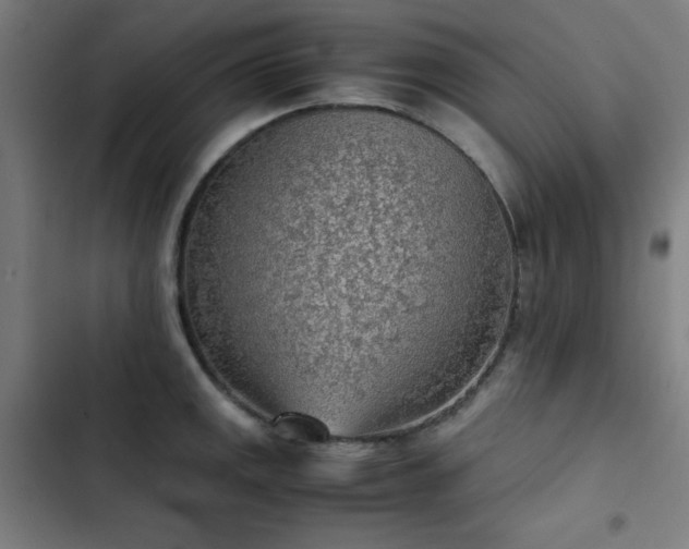 X0000103411141200809121259