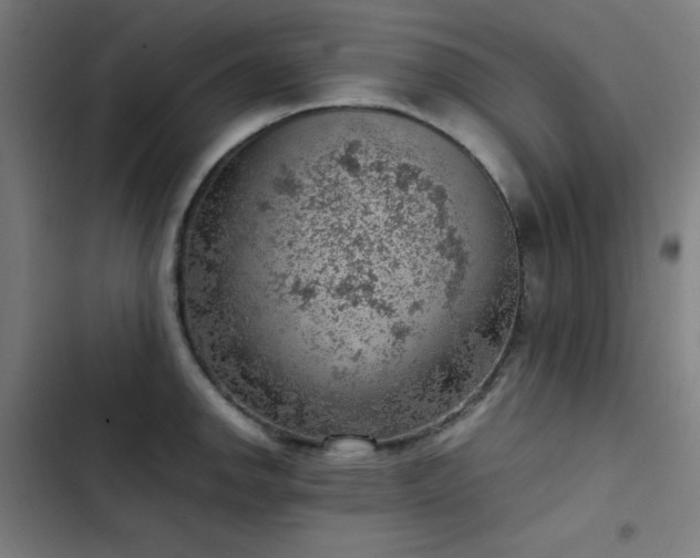 X0000103411142200809121300