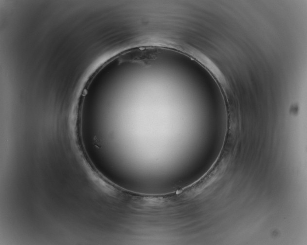 X0000103411144200809121300