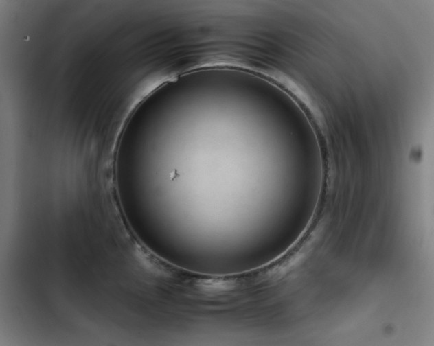 X0000103411145200809121300