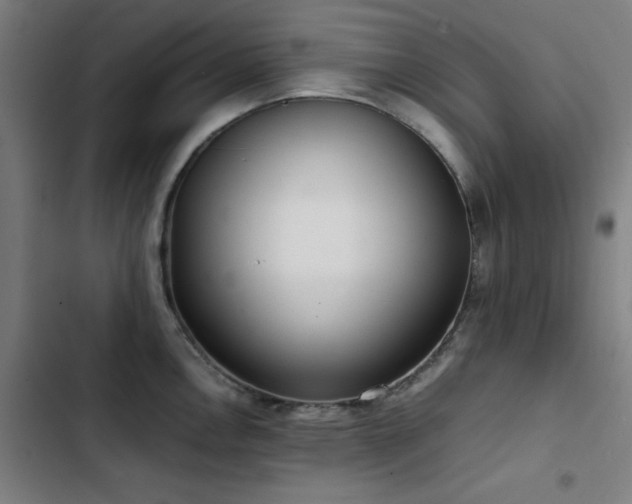 X0000103411146200809121300