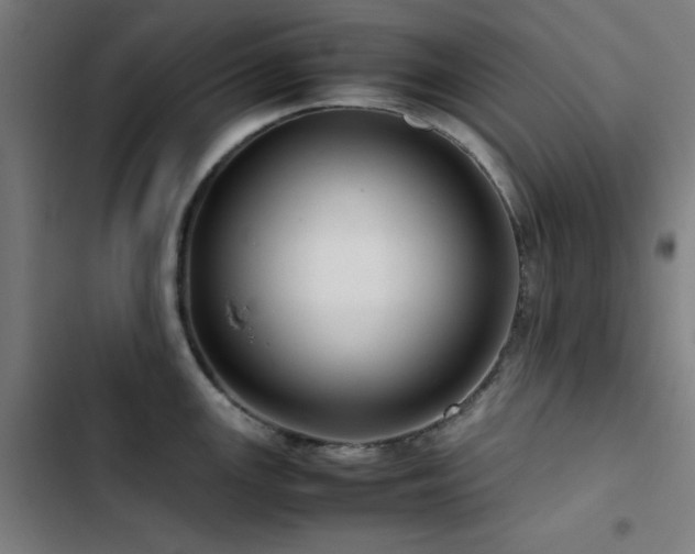 X0000103411147200809121300