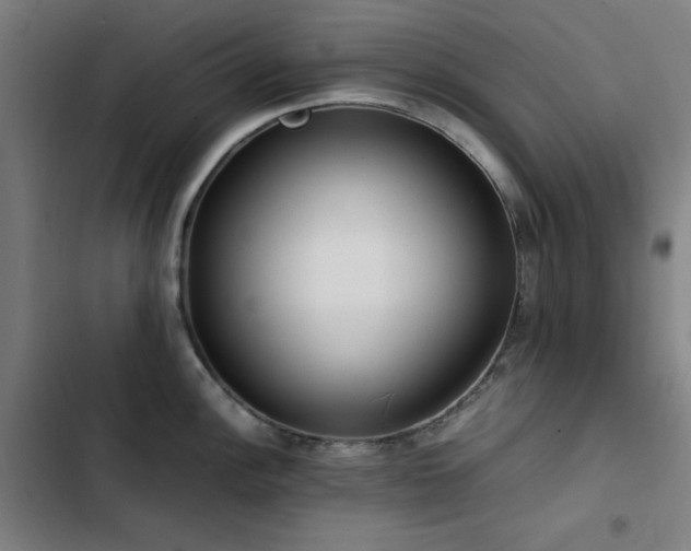 X0000103411148200809121300