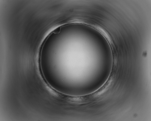 X0000103411149200809121300