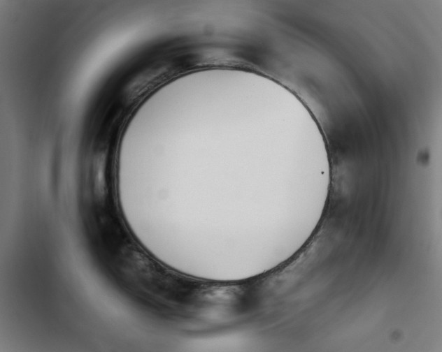 X0000103411150200809121300