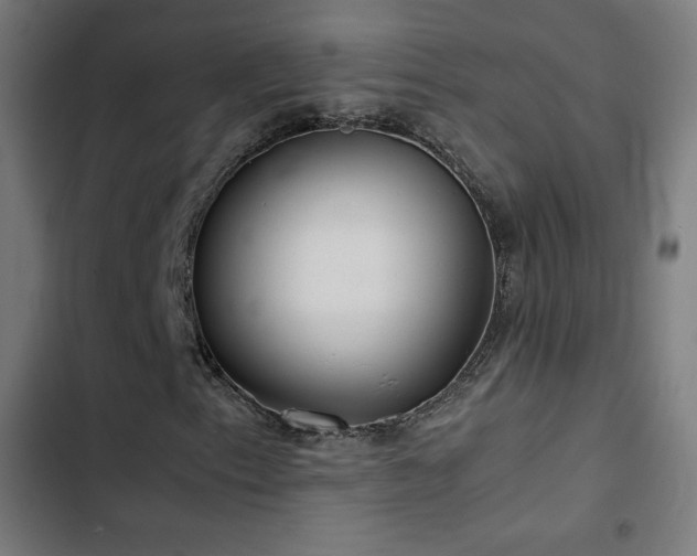 X0000103411153200809121259