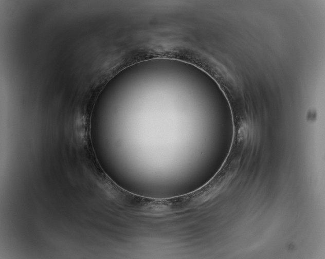 X0000103411156200809121259