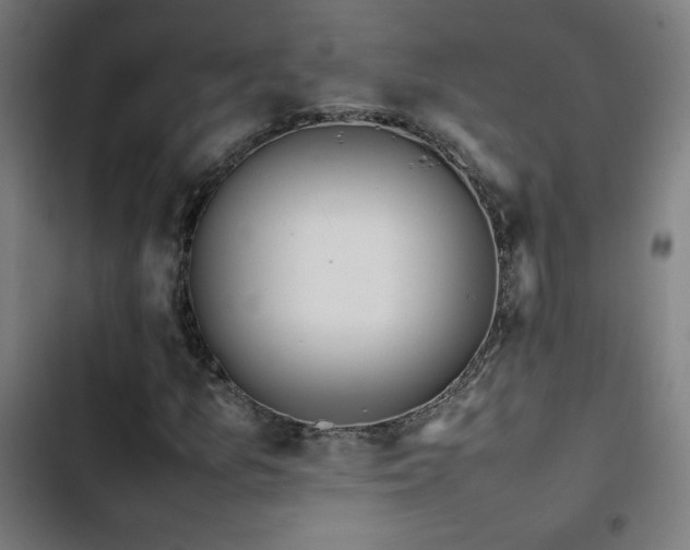 X0000103411157200809121259