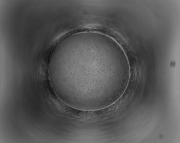 X0000103411158200809121259