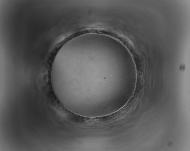 X0000103411159200809121259