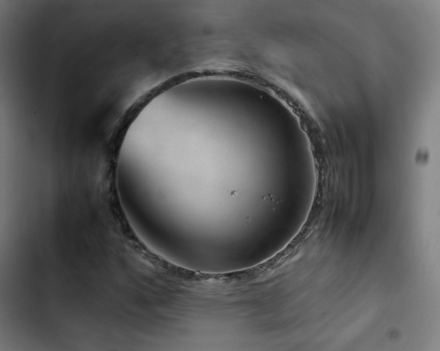 X0000103411160200809121259