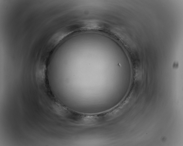 X0000103411161200809121259