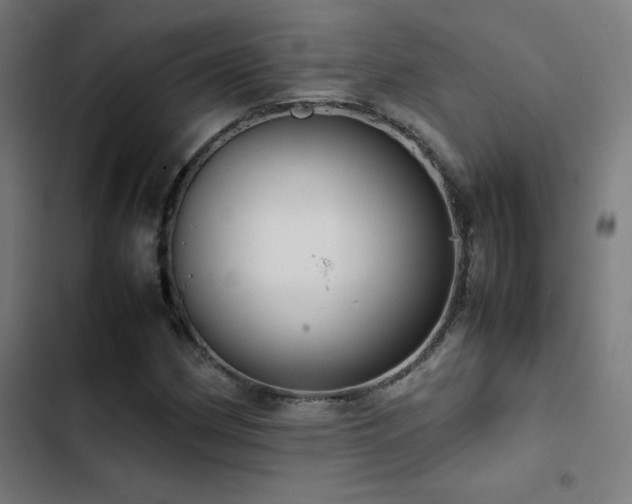 X0000103411162200809121259