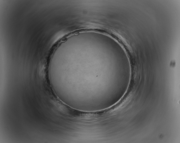 X0000103411163200809121259