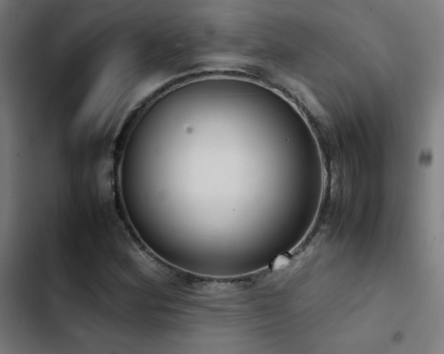 X0000103411164200809121259