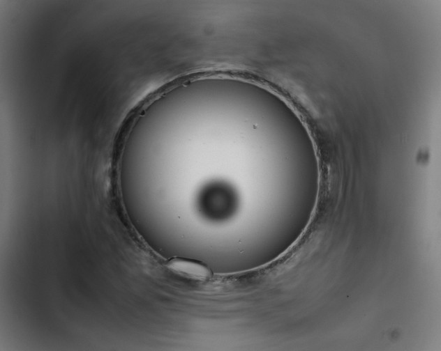 X0000103411165200809121259