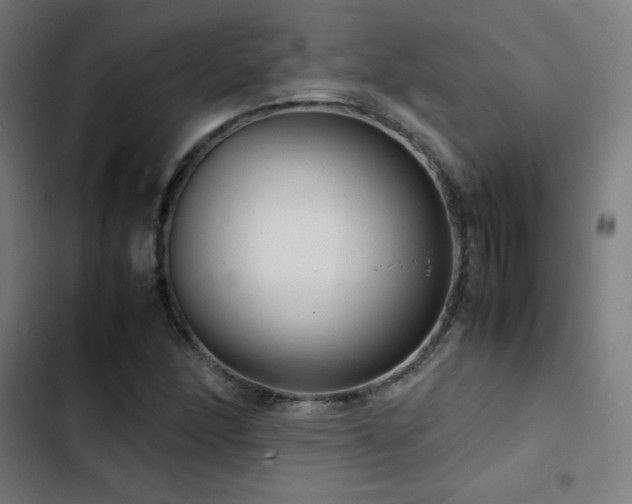 X0000103411166200809121259