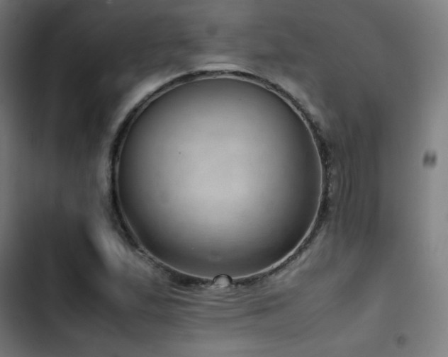 X0000103411167200809121259