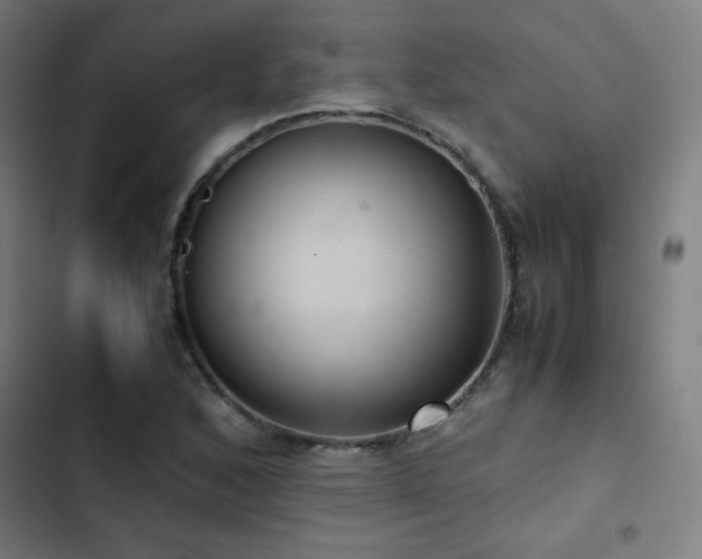 X0000103411168200809121259