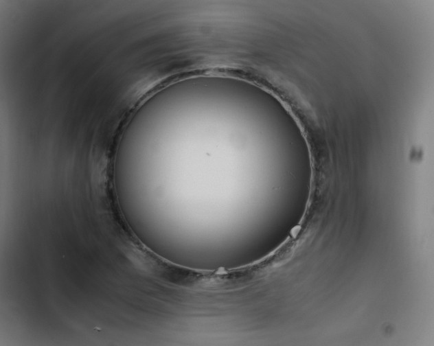 X0000103411169200809121259