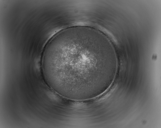 X0000103411170200809121259