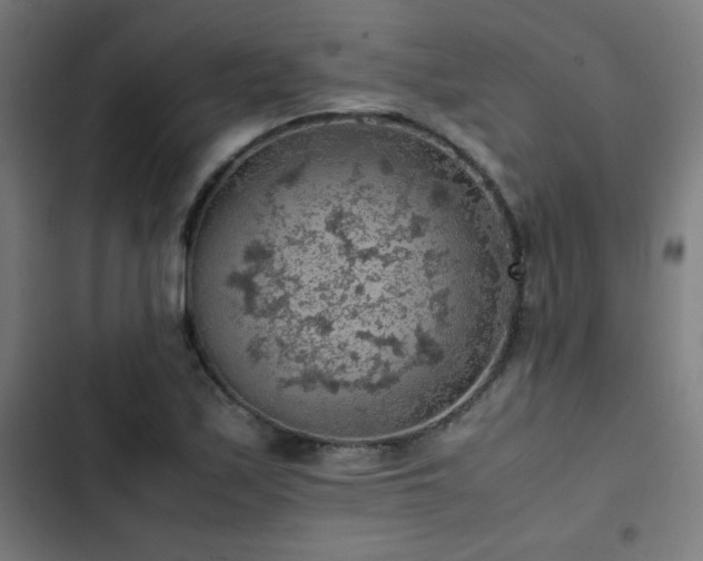 X0000103411171200809121259
