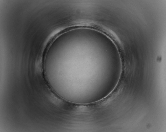 X0000103411172200809121259