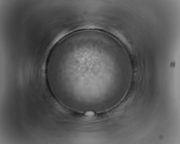X0000103411173200809121259