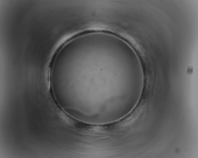 X0000103411175200809121259