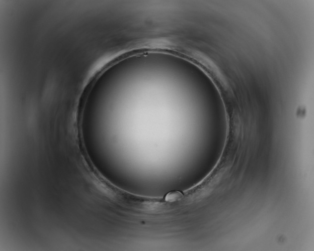 X0000103411176200809121258