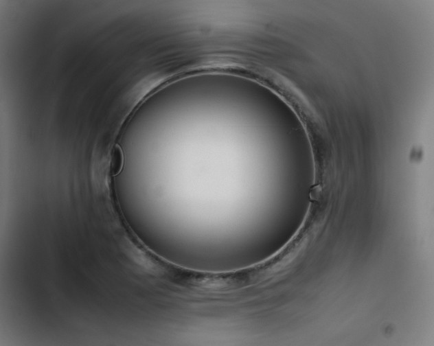 X0000103411177200809121258