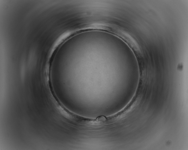 X0000103411180200809121258