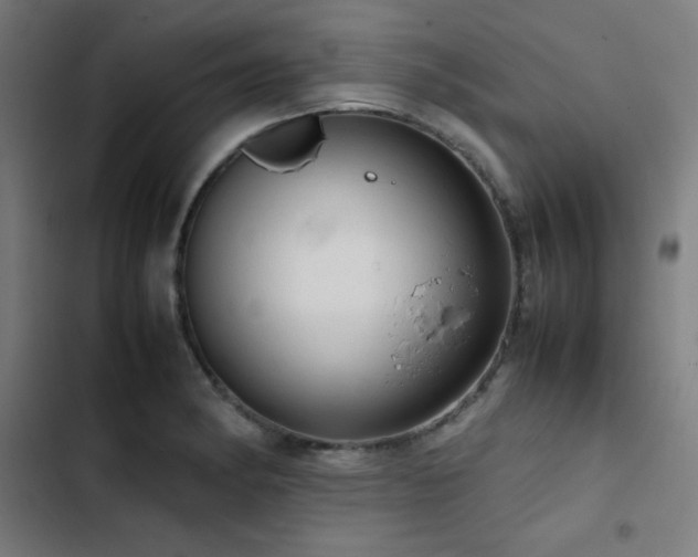 X0000103411182200809121258