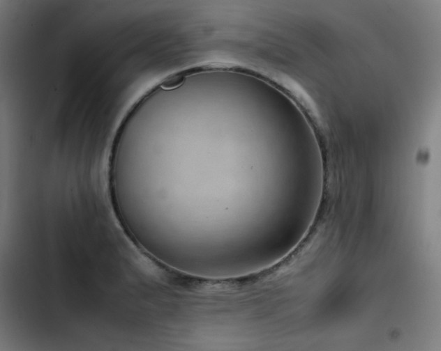 X0000103411183200809121258