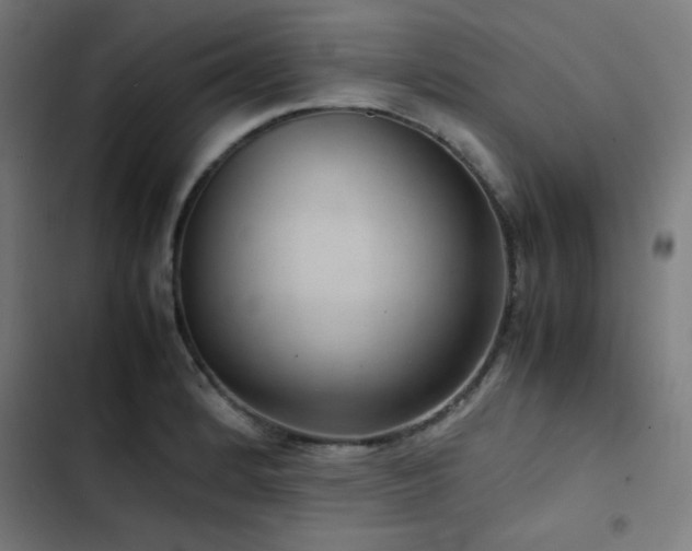 X0000103411184200809121258