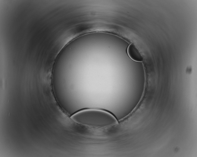 X0000103411185200809121258